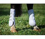 Stinchiere Perfect Protection Air Mesh, posteriori