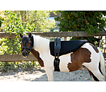 Fascione da volteggio Entrance