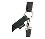 Capezza da doma Solid