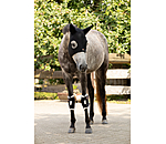 Ginocchiere Ceramic Rehab