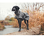 Cappotto All-Round per cani in softshell Bark, 0 g