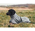 Cappotto All-Round per cani in softshell Bark, 0 g