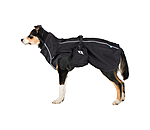 Cappotto All-Round per cani in softshell Bark, 0 g