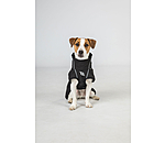 Cappotto All-Round per cani in softshell Bark, 0 g