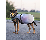 Cappotto per cani riflettente