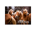Cartolina True Friends