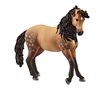 Cavalla Andalusa