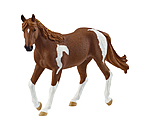 Cavalla Paint Horse