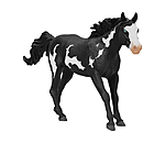 Castrone Paint Horse