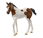 Puledro Paint Horse