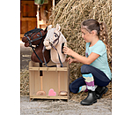 Set grooming Hobby Horse