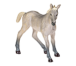 Play series Puledro Grigio