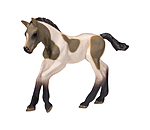 Play series Puledro Palomino pezzato