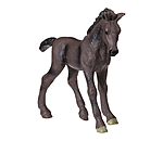 Play series Puledro cavallo arabo