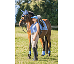 Polo funzionale Luise II