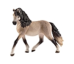 Cavalla Andalusa