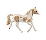Cavalla Paint Horse
