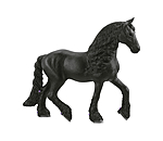 Cavalla Frisona