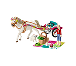 Carrozza da gara