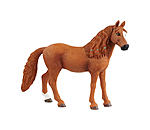 Pony tedesca