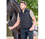 Gilet da equitazione combinato da uomo Dexter