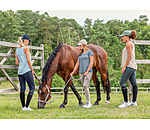 Leggings da equitazione estivi full grip Amanda