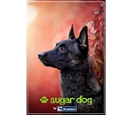  Buono regalo stampabile 