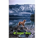  Buono regalo stampabile 