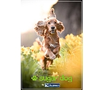  Buono regalo stampabile 