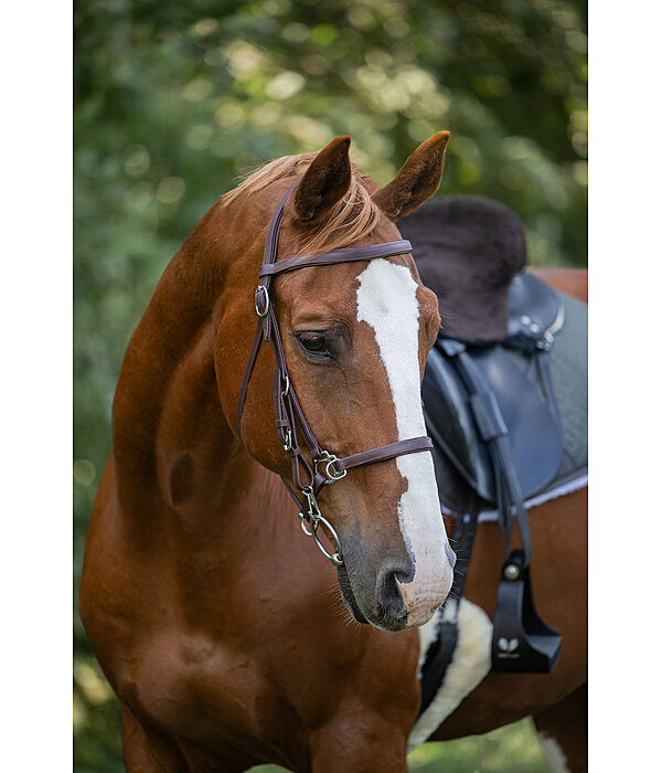 Testiera da trekking Waterproof Eifel