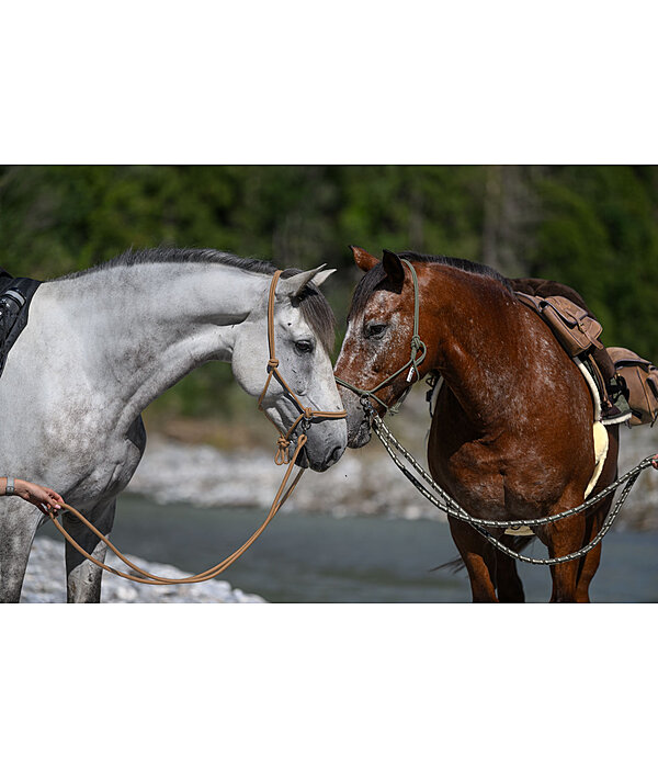 Redini in cotone Trail Riding