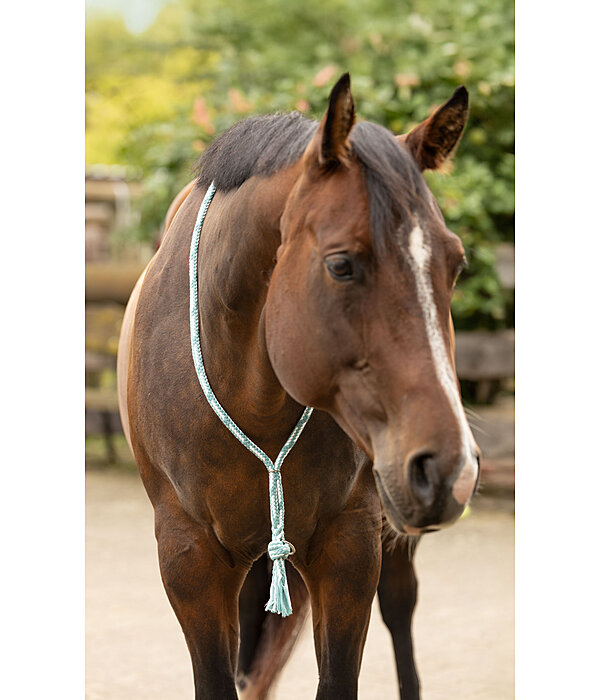 Redini a collare Tapeka