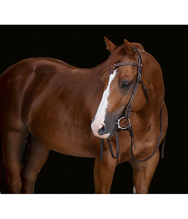 Testiera western Tila