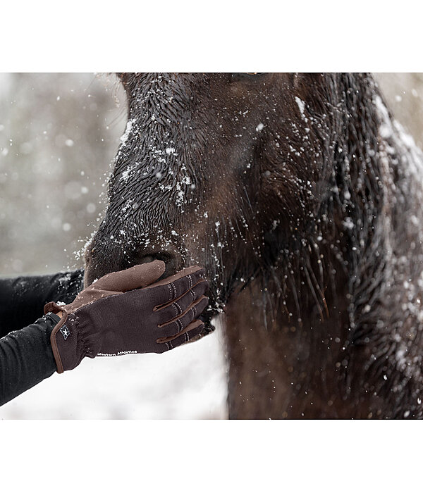 Guanti da equitazione estivi Omeo