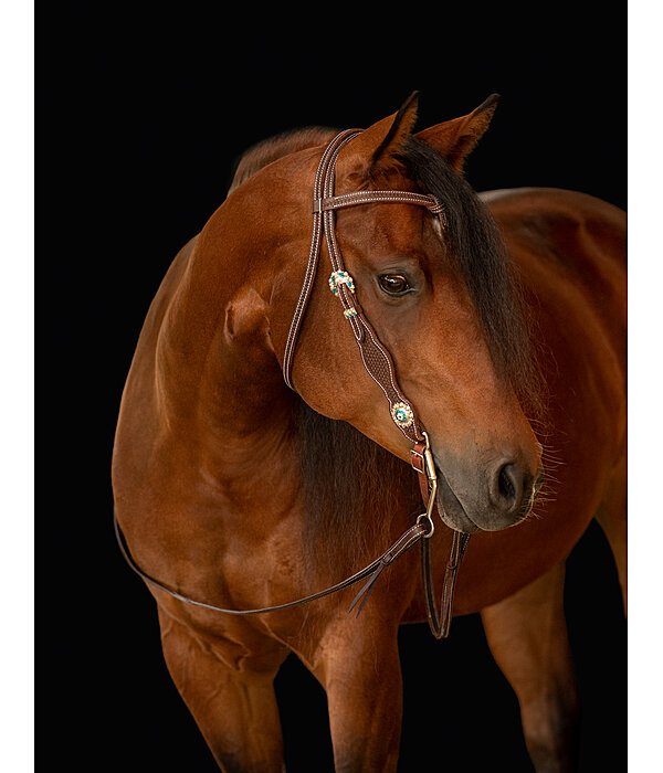Testiera western Crystal Dream