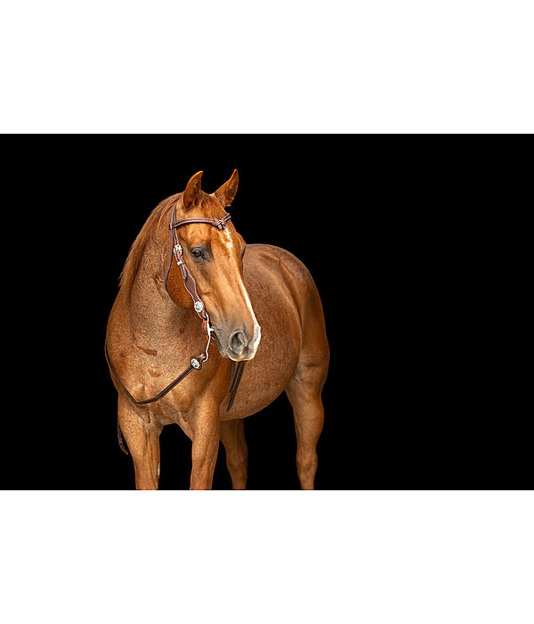 Testiera western Crystal Dream