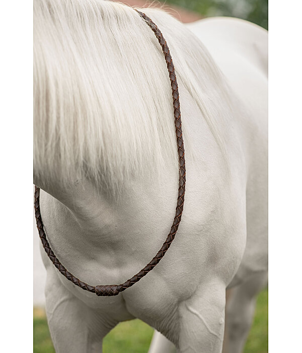 Redini a collare in cuoio premium