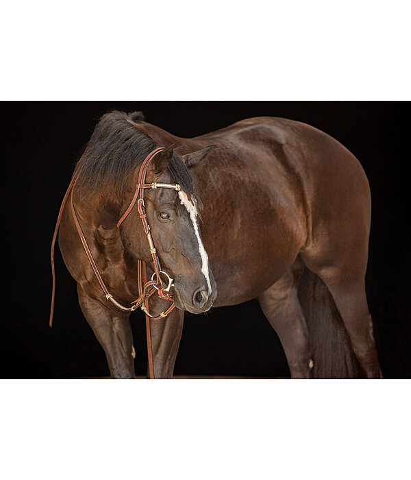Testiera Braided Rawhide