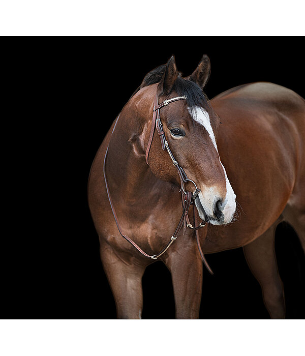 Testiera Braided Rawhide