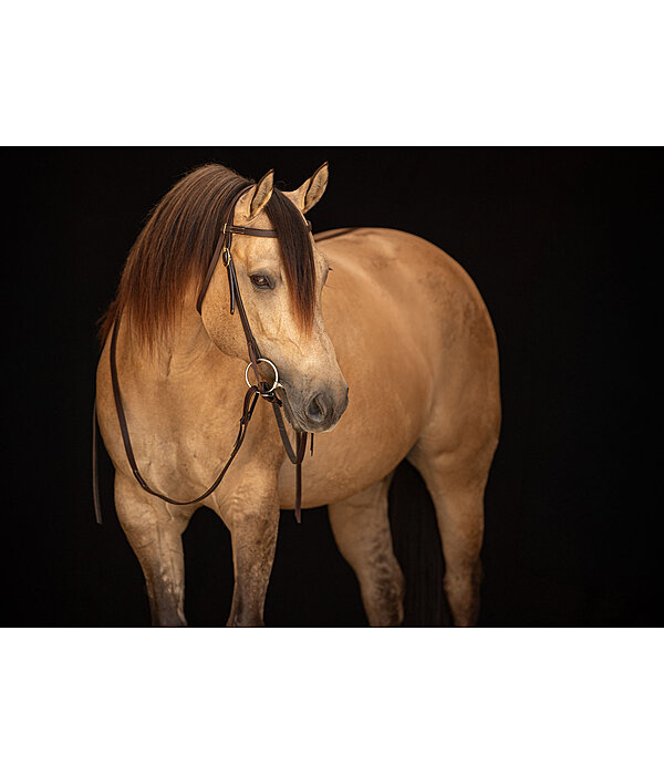 Testiera da lavoro Harness