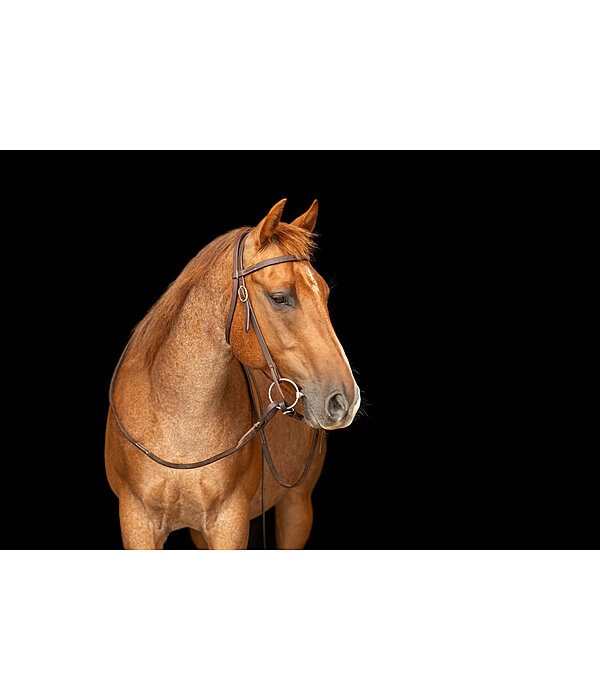 Testiera da lavoro Harness