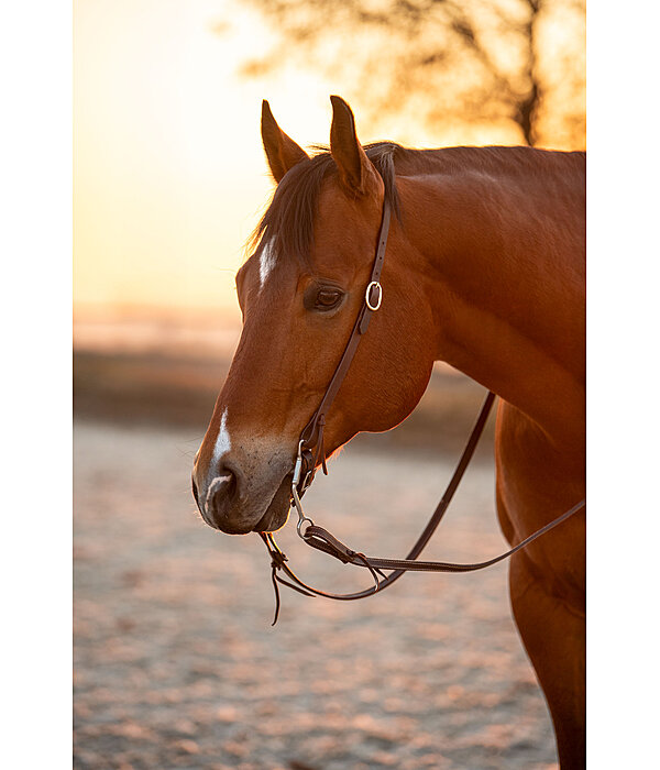 Testiera da lavoro one ear Harness