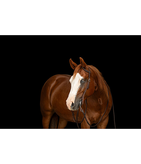 Testiera da lavoro one ear Harness