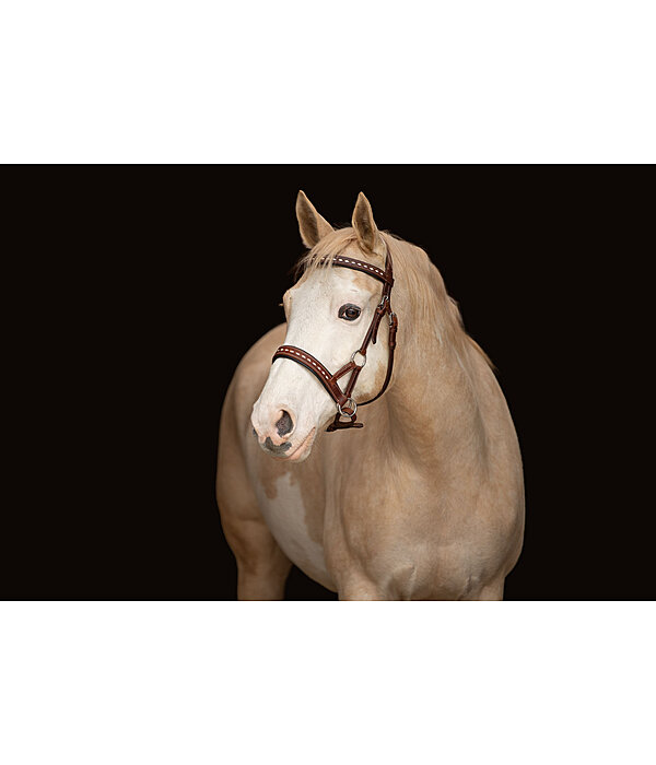 Sidepull Rawhide