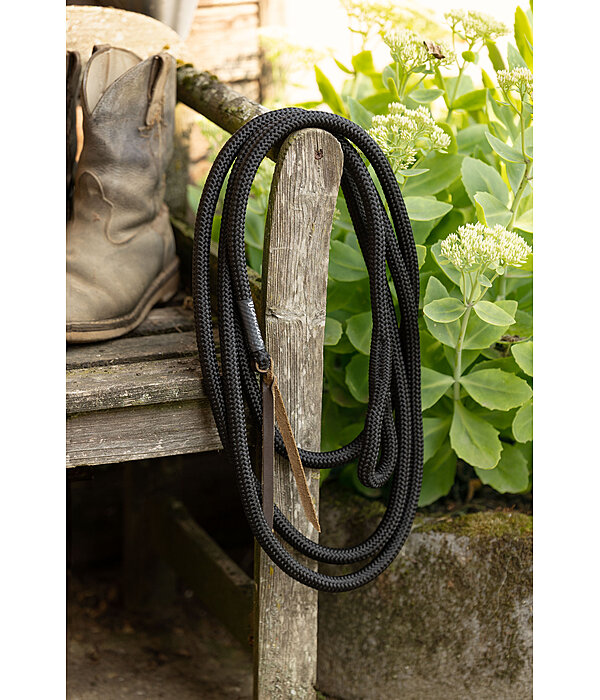 Longhina con passante