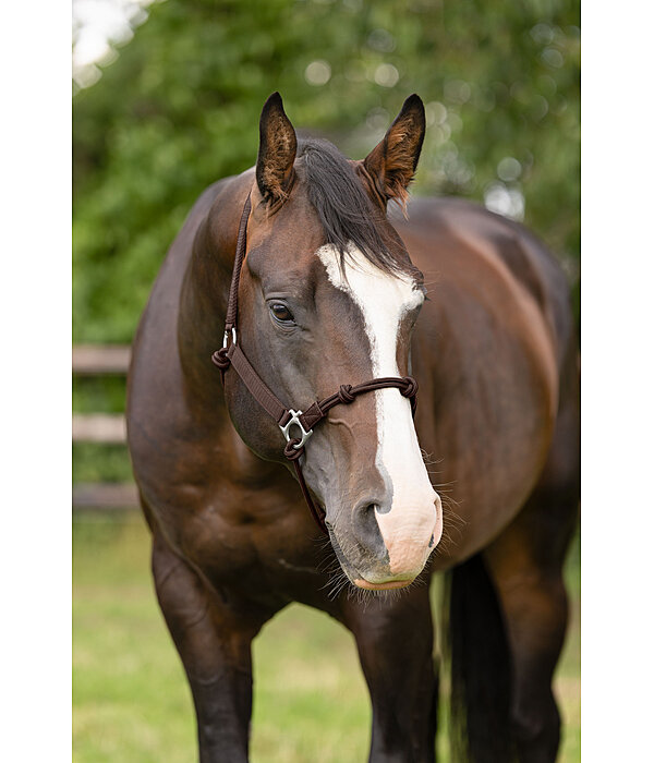 Capezza in corda hybrid