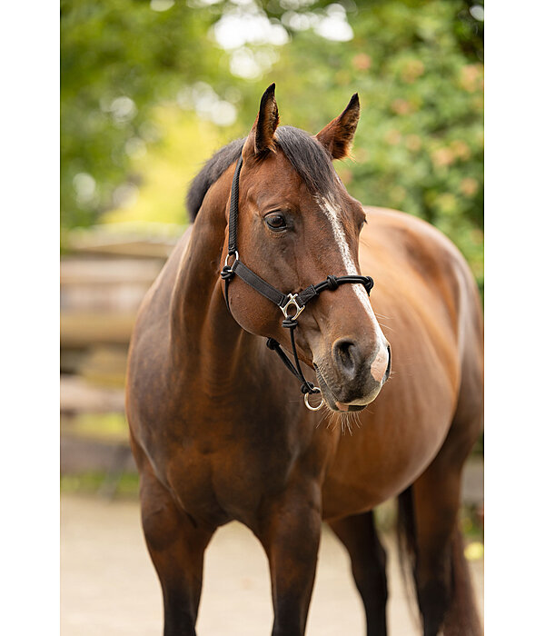 Capezza in corda hybrid