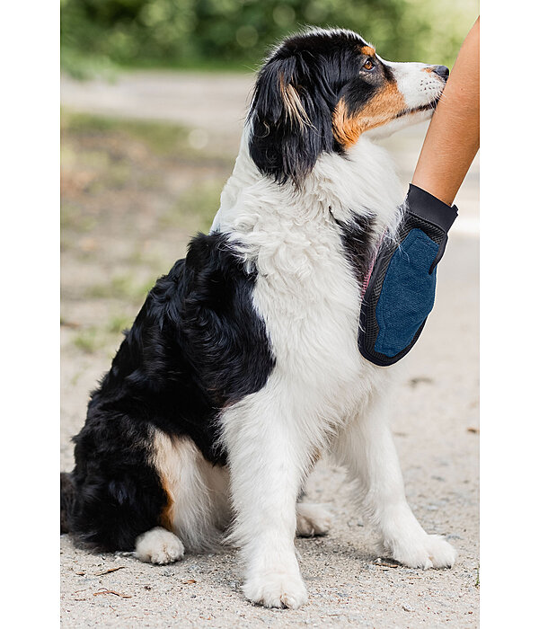Guanto da massaggio e grooming per cani
