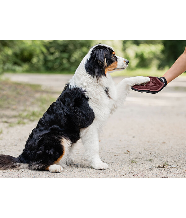 Guanto da massaggio e grooming per cani