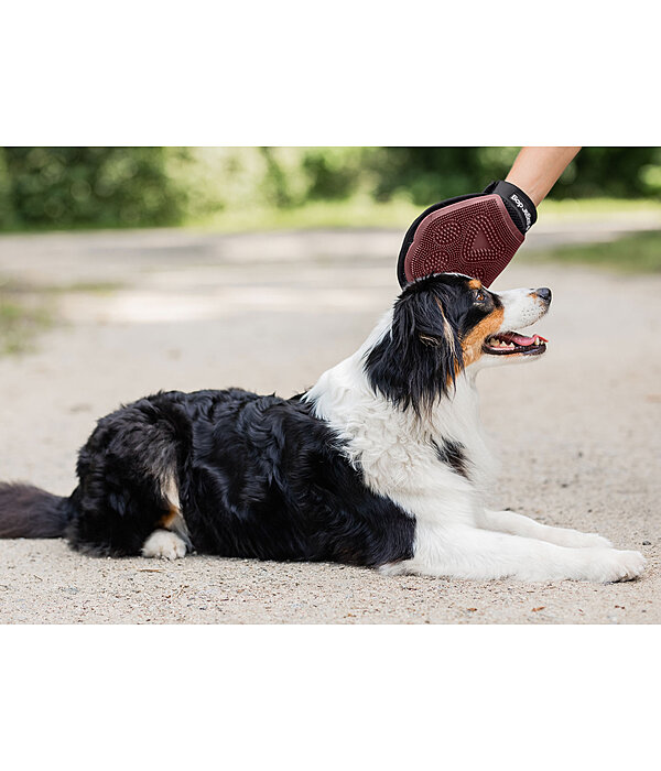 Guanto da massaggio e grooming per cani